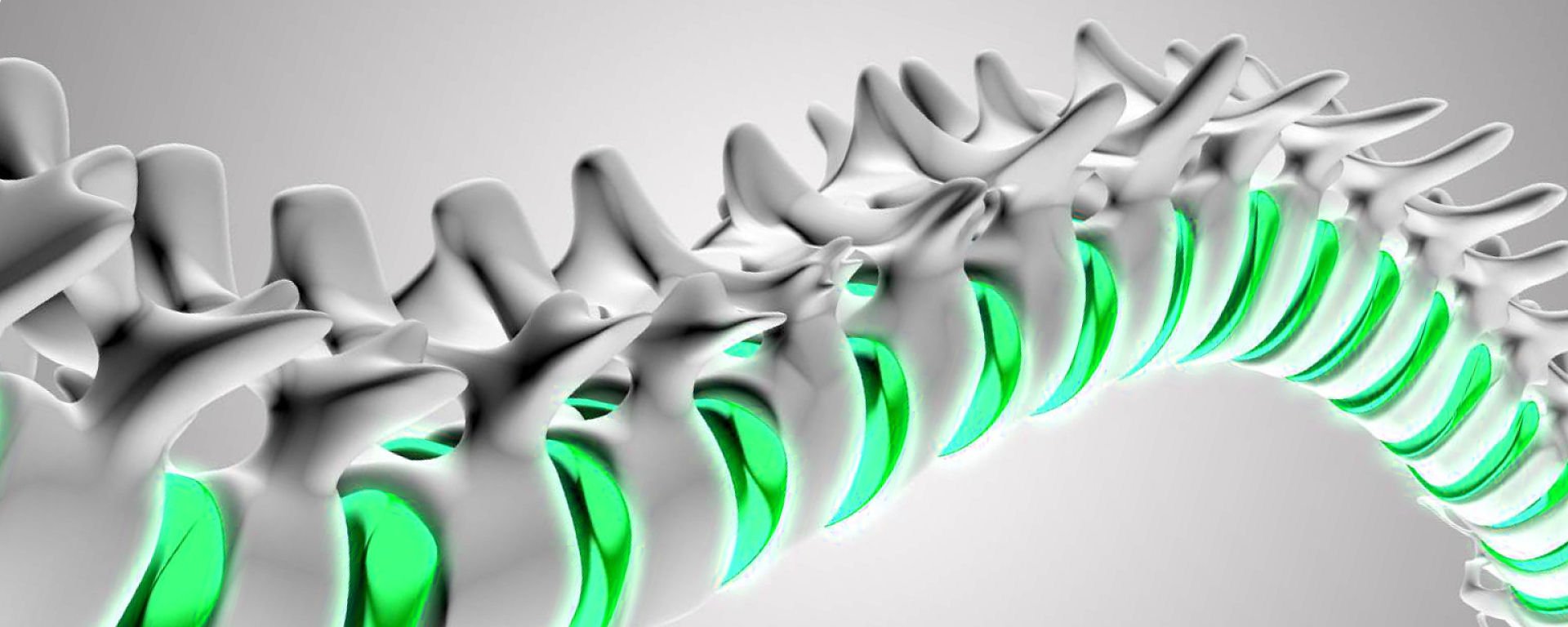 Neurochirurgie (NEW)