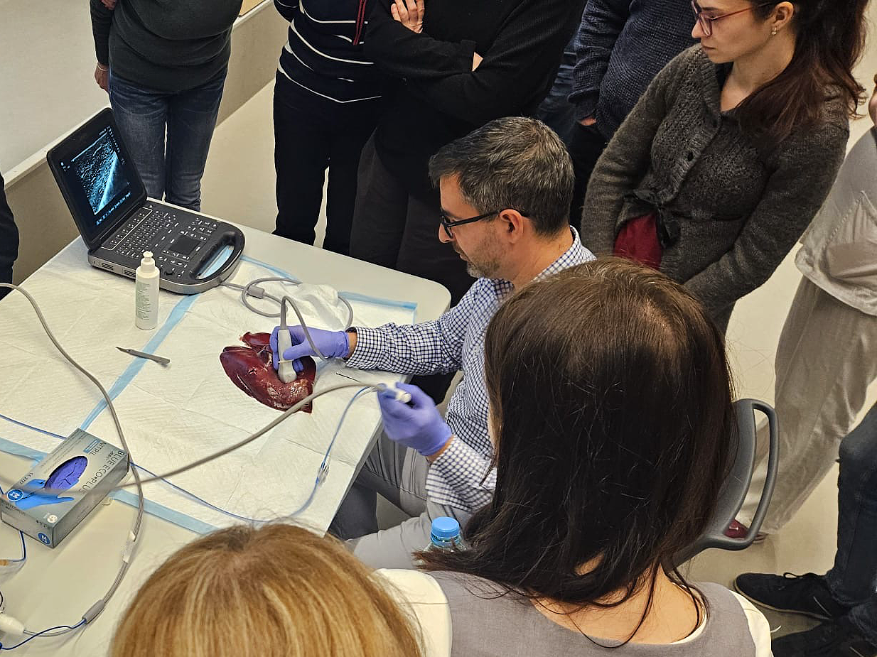 Workshop mikrovlnné ablace štítné žlázy v Brně: když se zkušenosti sdílí, medicína jde dopředu