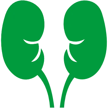 UROLOGY