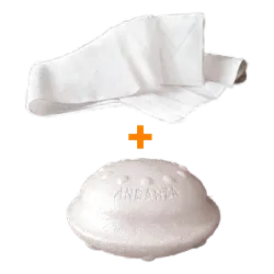pm-main.png
