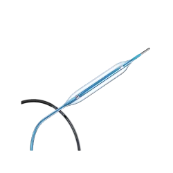 CONQUEROR™ SC PTCA Balloon Catheter