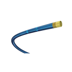 Expressman™ Guiding Extension Catheter