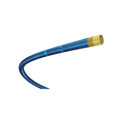 Expressman™ Guiding Extension Catheter