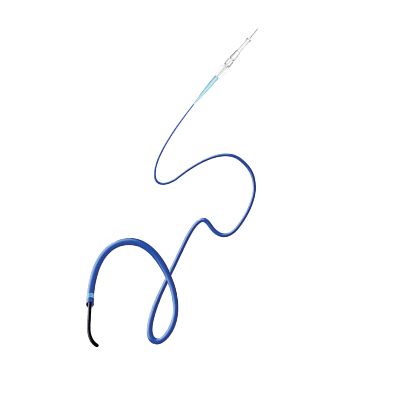 Distail™ Microcatheter