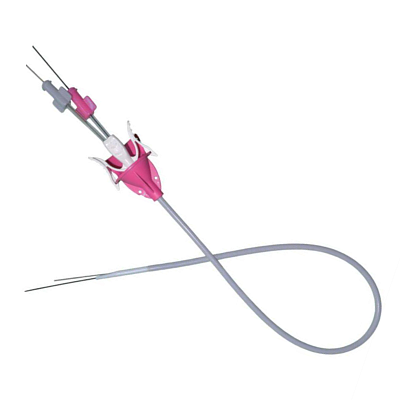 BI–FLEX Access sheath