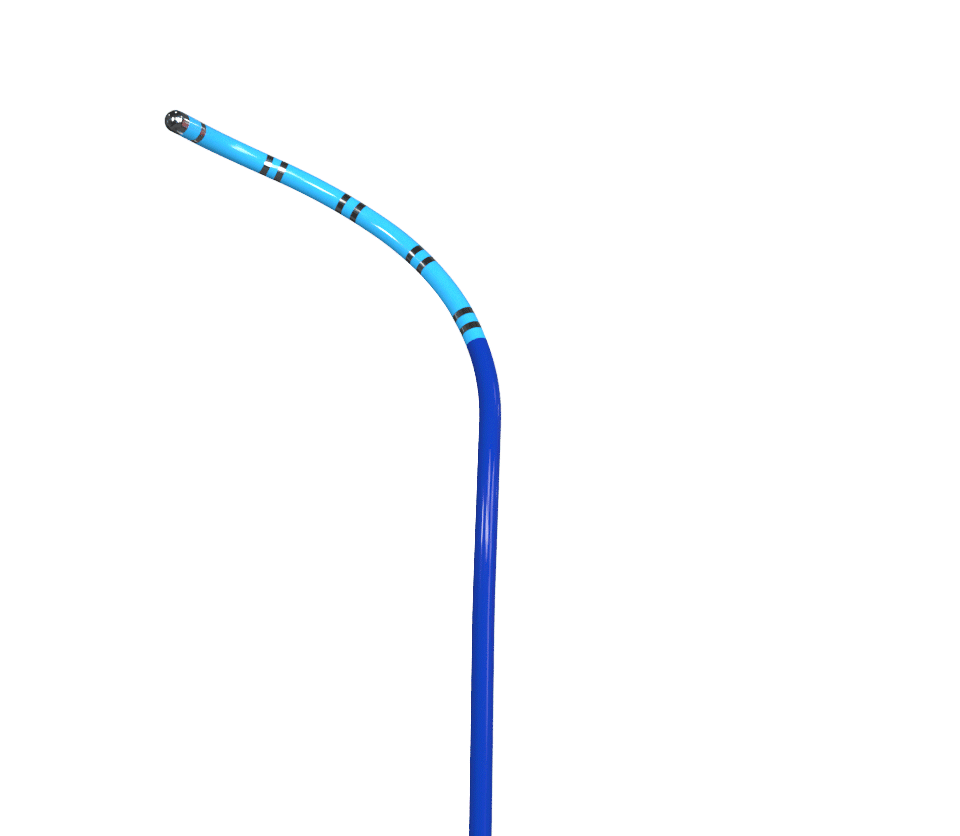 SinusFlex™ - řiditelný mapovací katetr - dekapolární